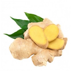  Omuz Bağlama Halka Kemer Tulum